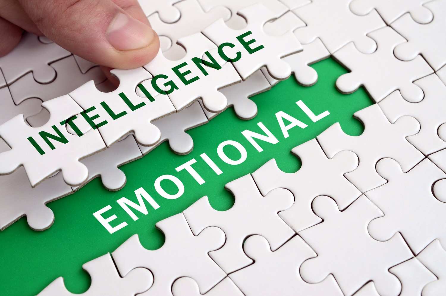 What Is Emotional Intelligence in the Workplace and Why Every Manager Needs It